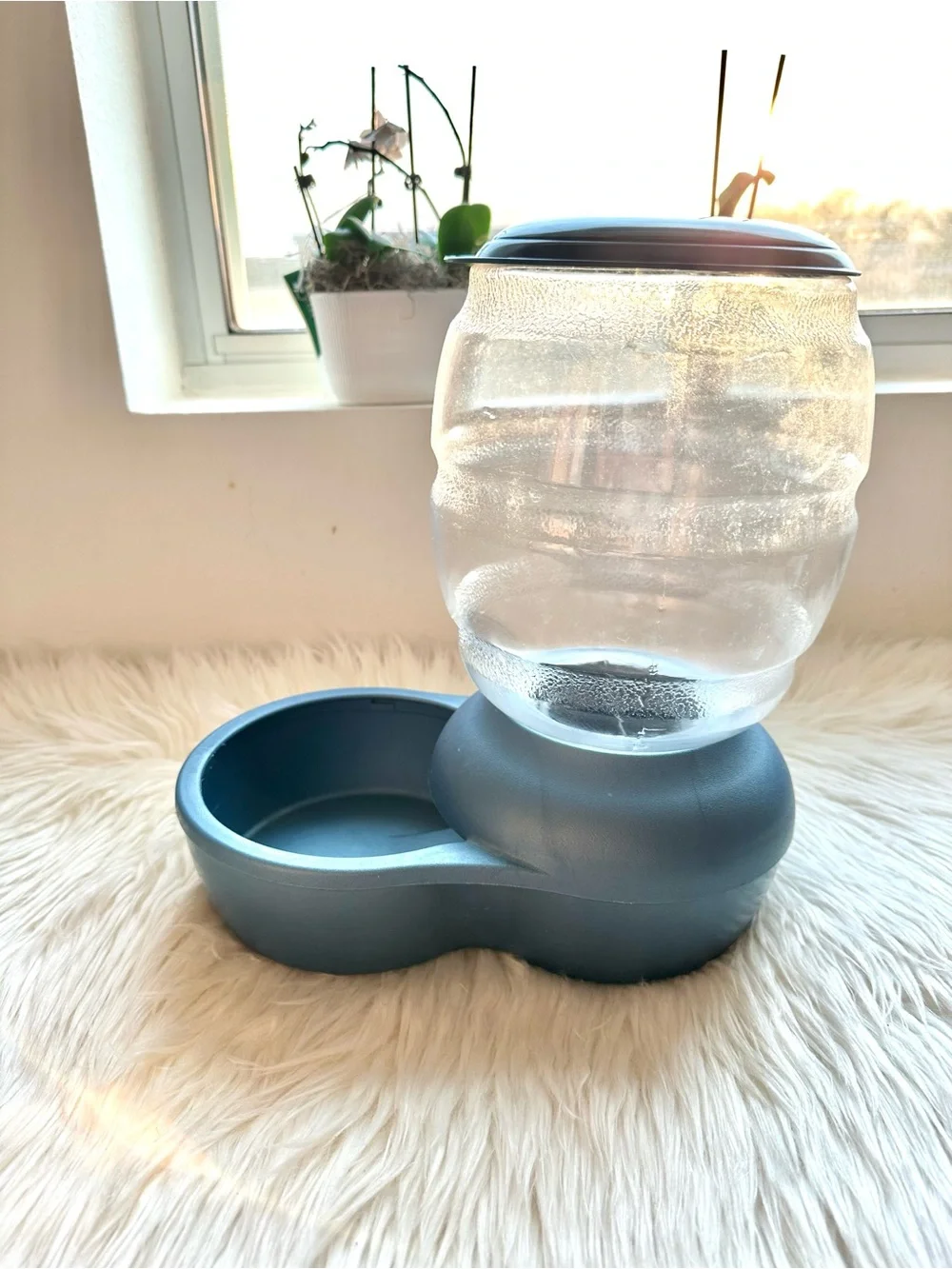 Petmate pearl replenish